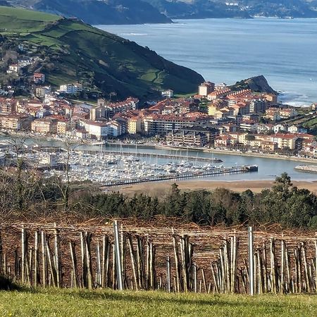 Zumaia Basque Alaiアパートメント エクステリア 写真