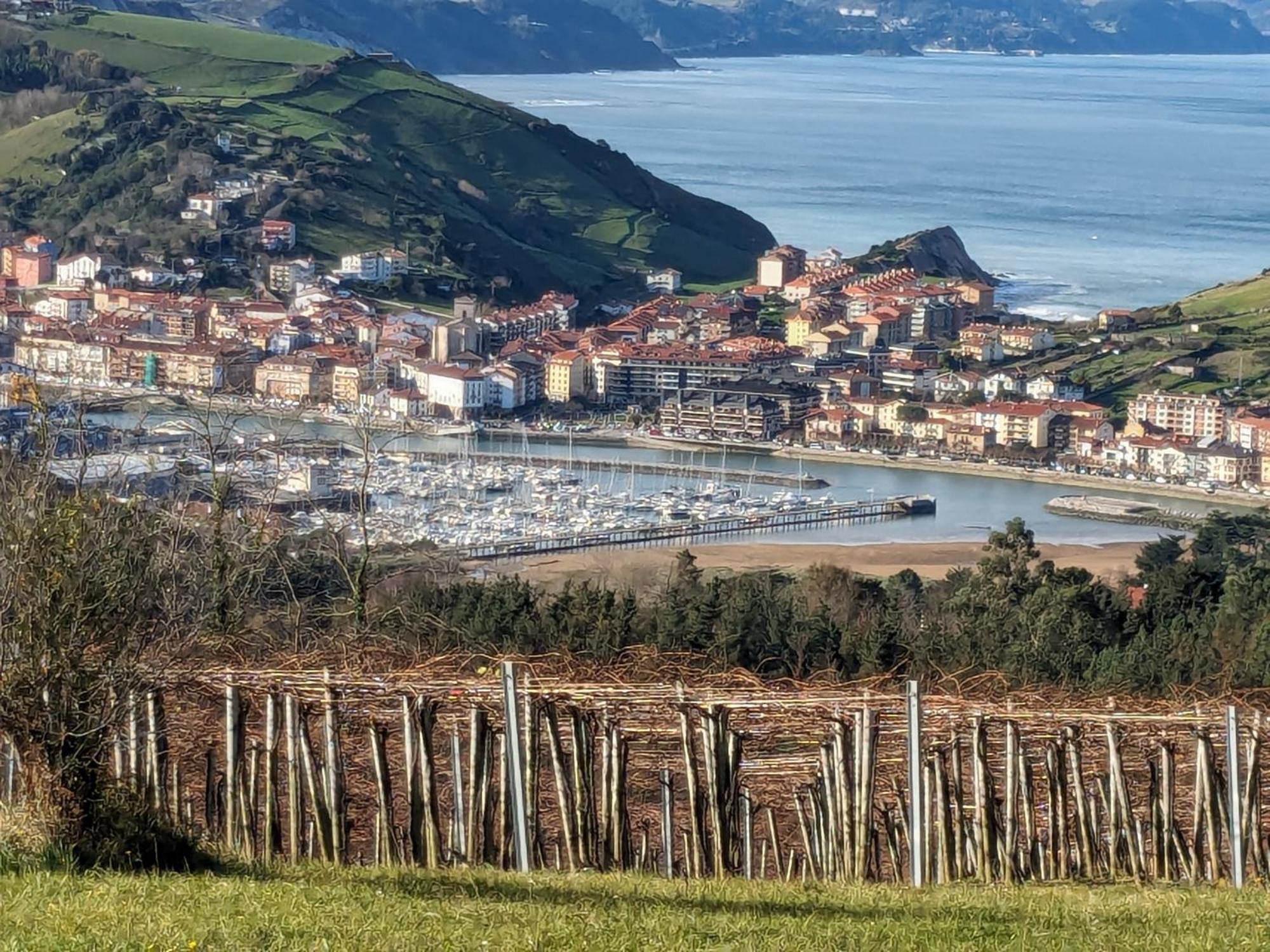 Zumaia Basque Alaiアパートメント エクステリア 写真